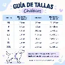 WhatsApp Image 2026-10-08 at 22.18.42.webp
