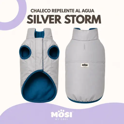 Chaleco - Silver Storm
